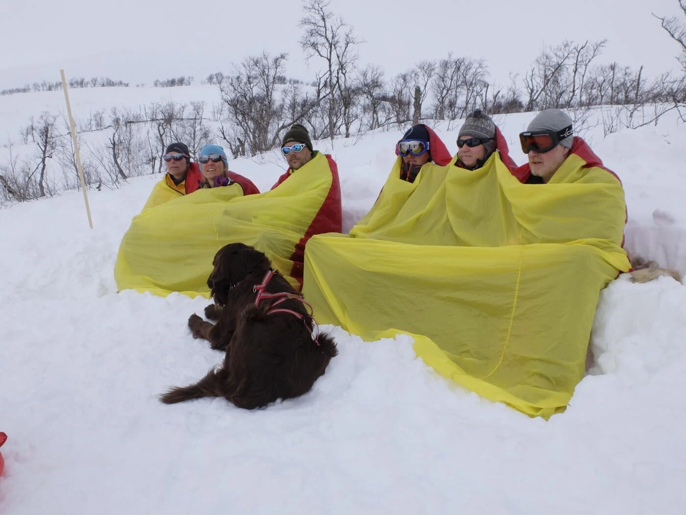 Hilleberg Windsack 2 – Image 4
