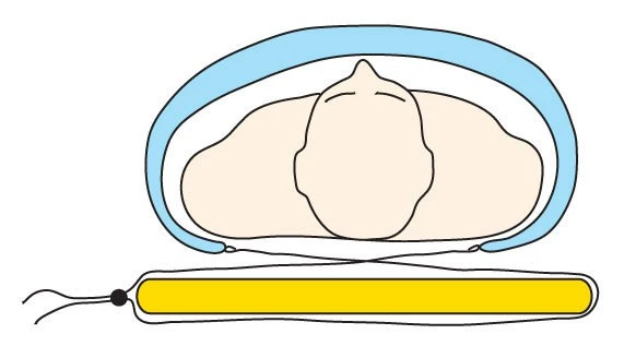 Cumulus Quilt 250 – Image 6