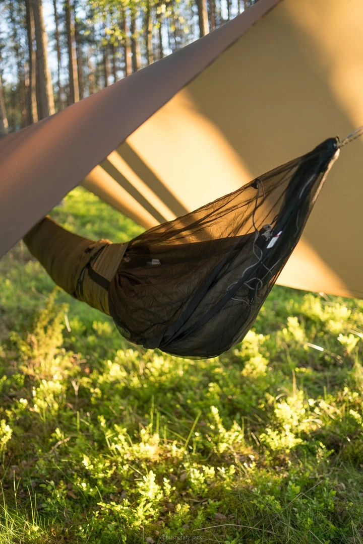 Lesovik Larva – Image 19