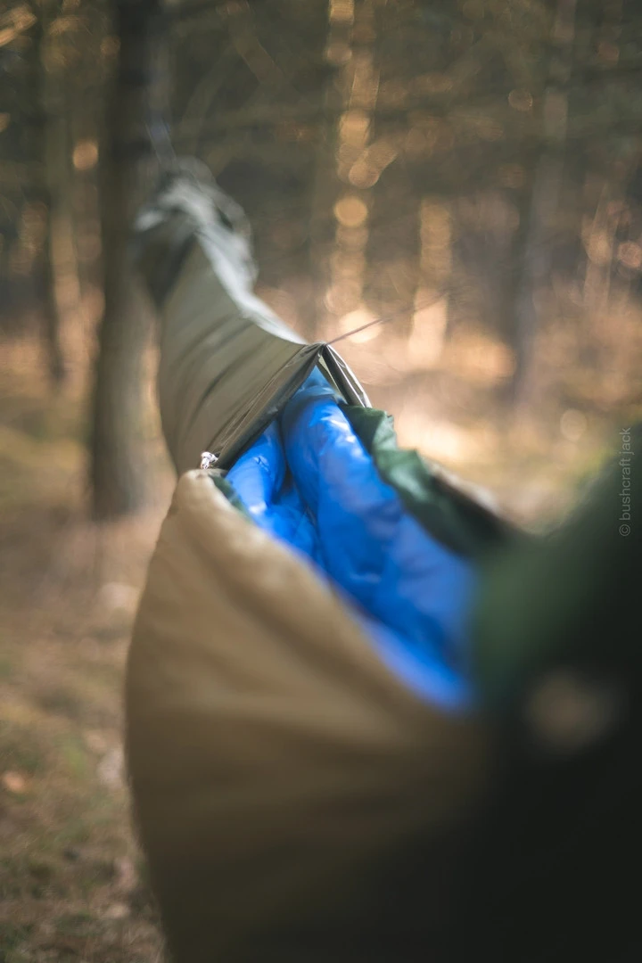 Lesovik Larva – Image 14