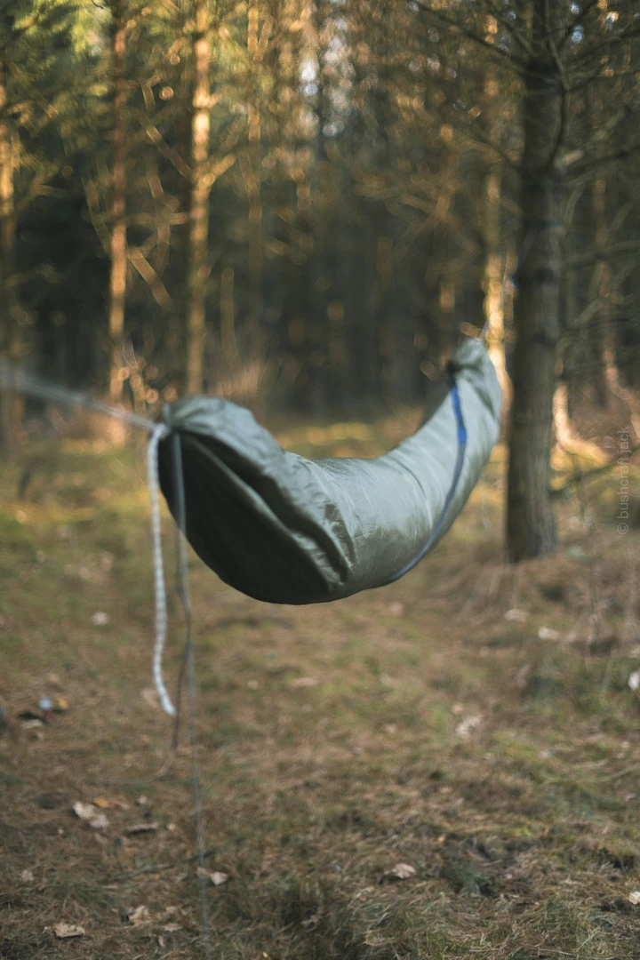 Lesovik Larva – Image 15