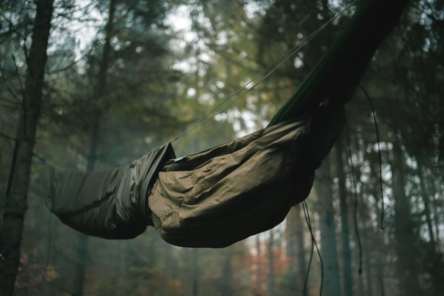 Lesovik Larva – Image 10