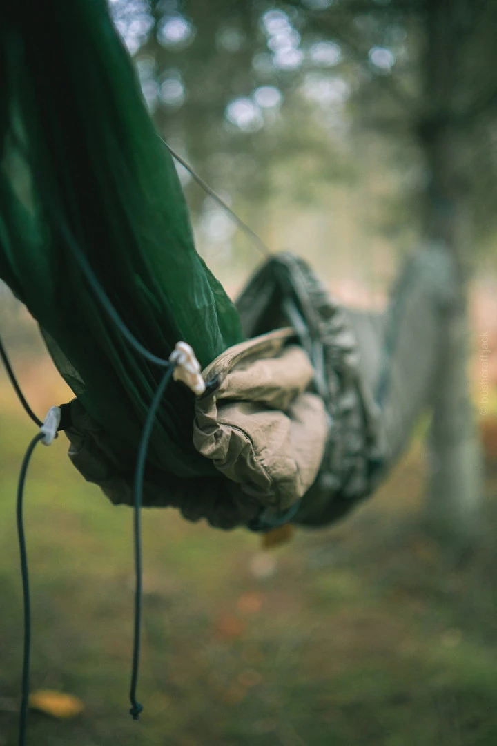 Lesovik Larva – Image 12