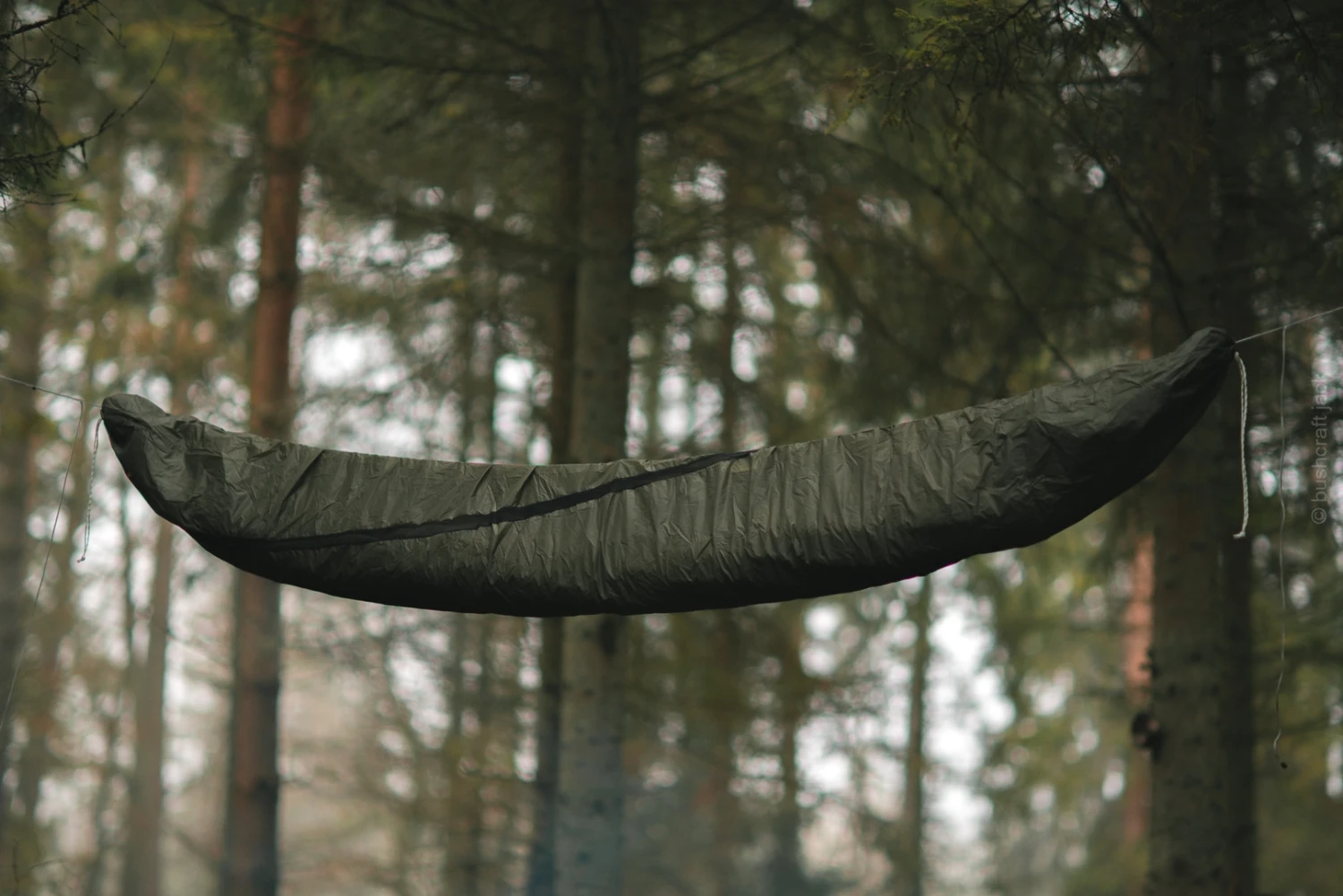 Lesovik Larva – Image 9