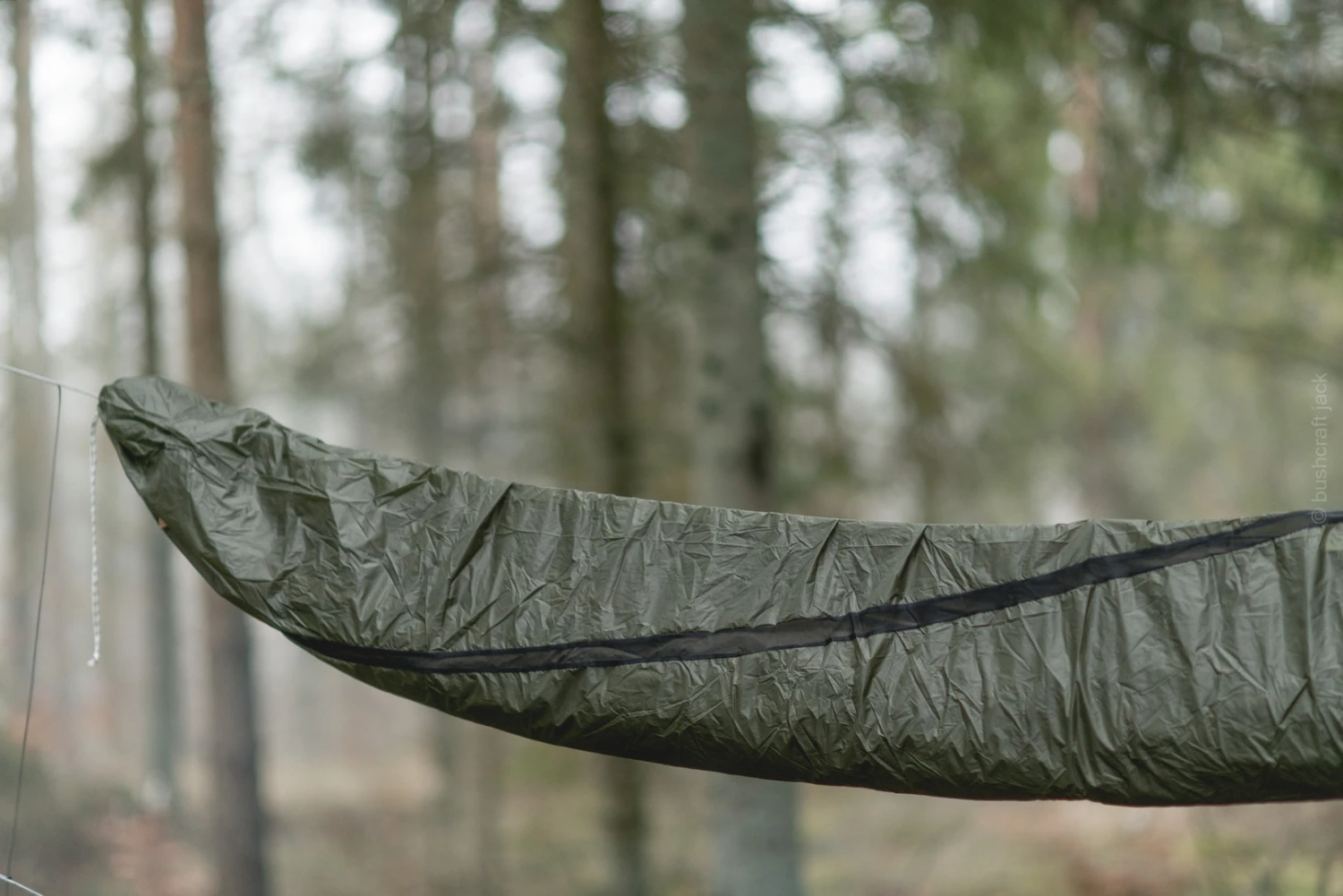 Lesovik Larva – Image 3