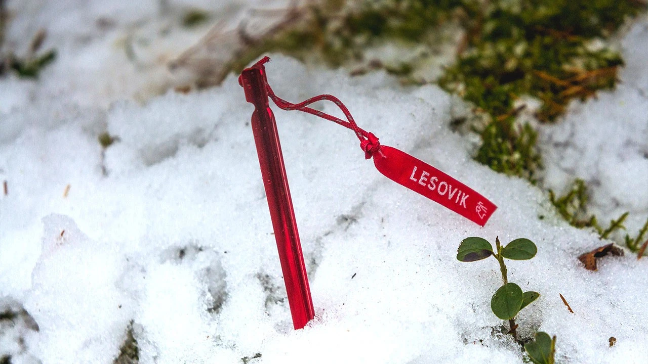 Lesovik Spig UL Peg – Image 5